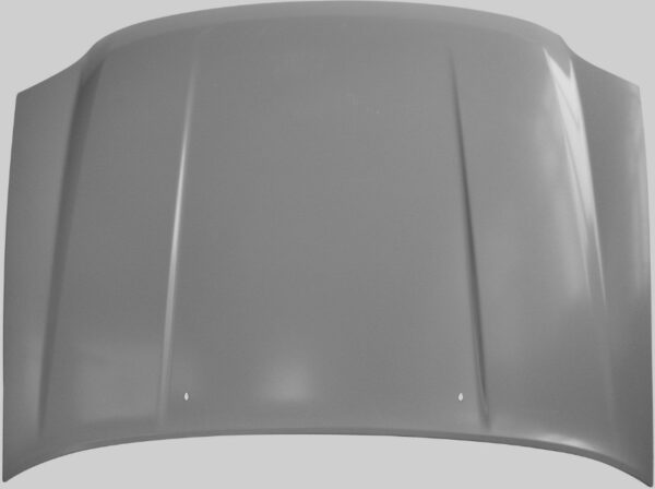 ΚΑΠΩ ISUZU DMAX '07-'12 2WD ΕΜΠΡΟΣ